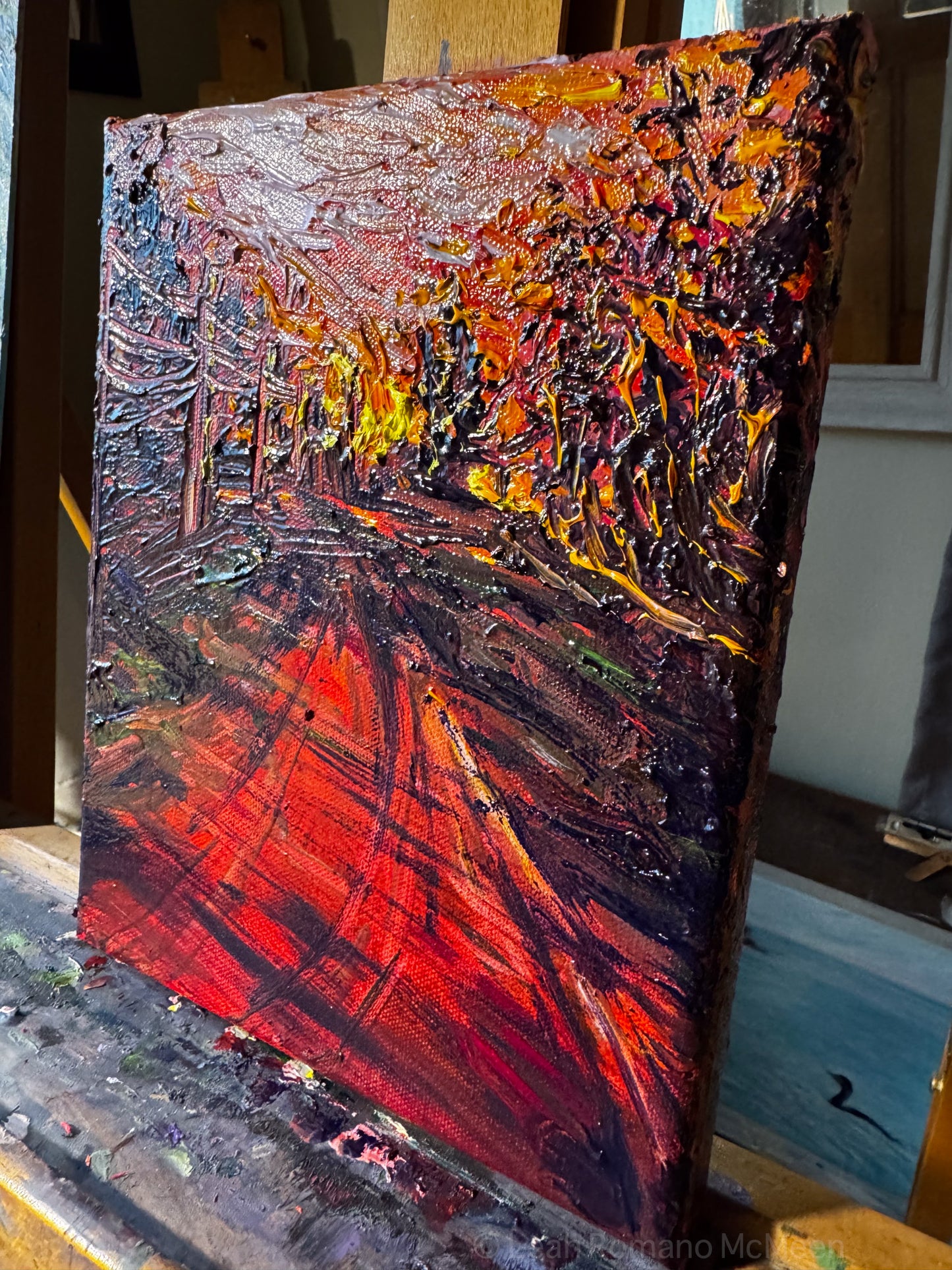 Fiery_Sunset_Road_Side_View