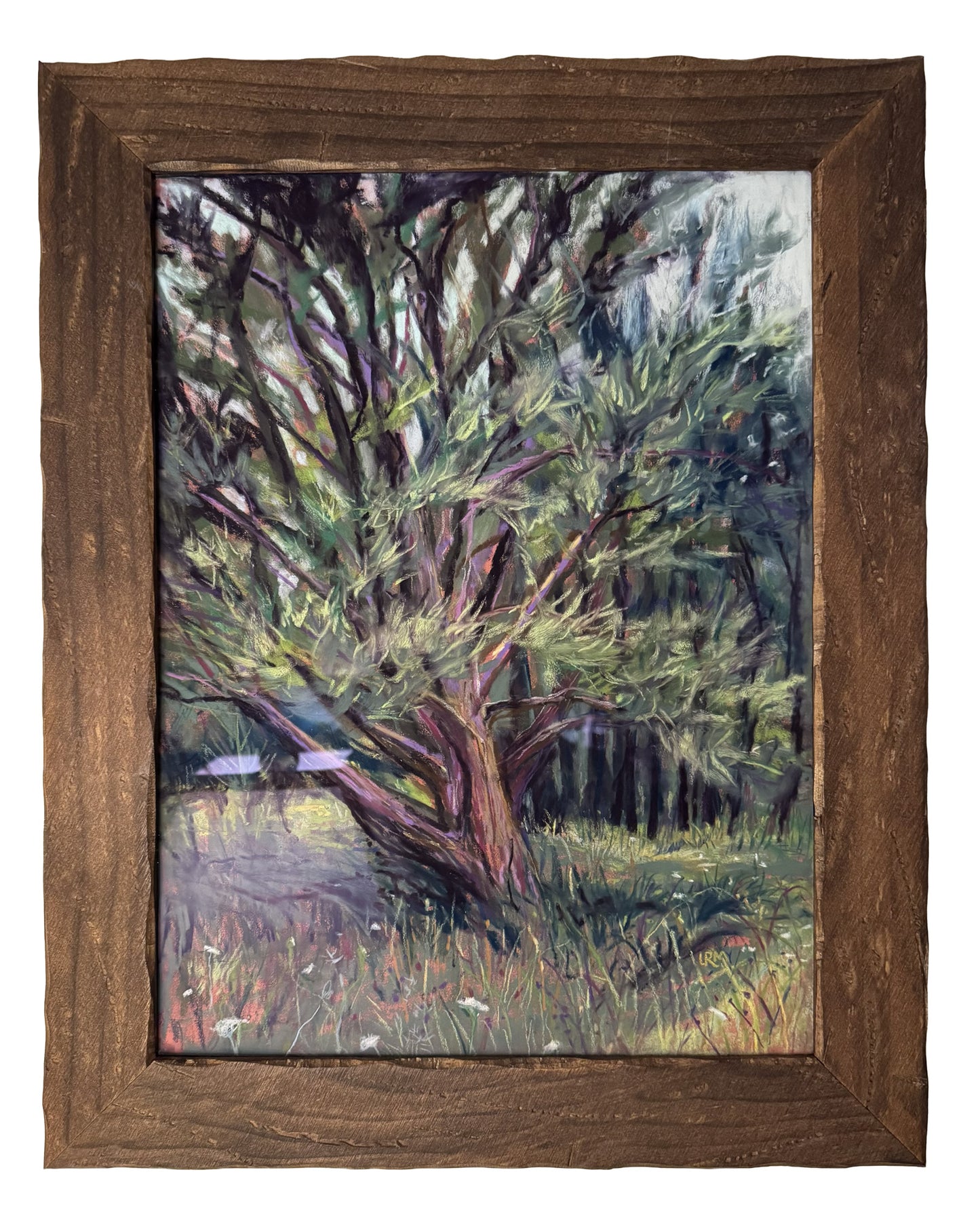 The Old Tree On A Summer Day - Original Pastel Painting