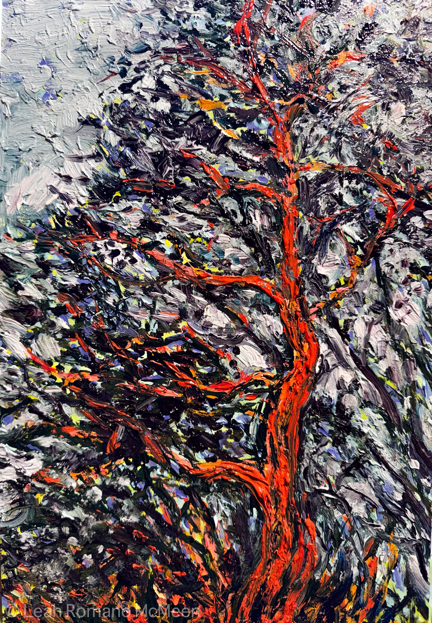 Intensitree – Oil Original