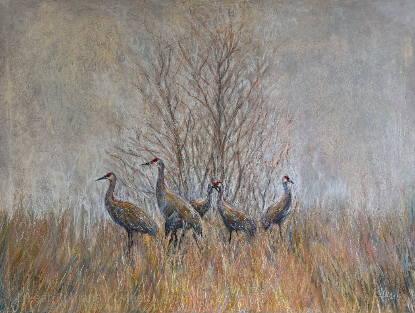Mourning In The Fog – Sandhill Crane Bird Giclée Print