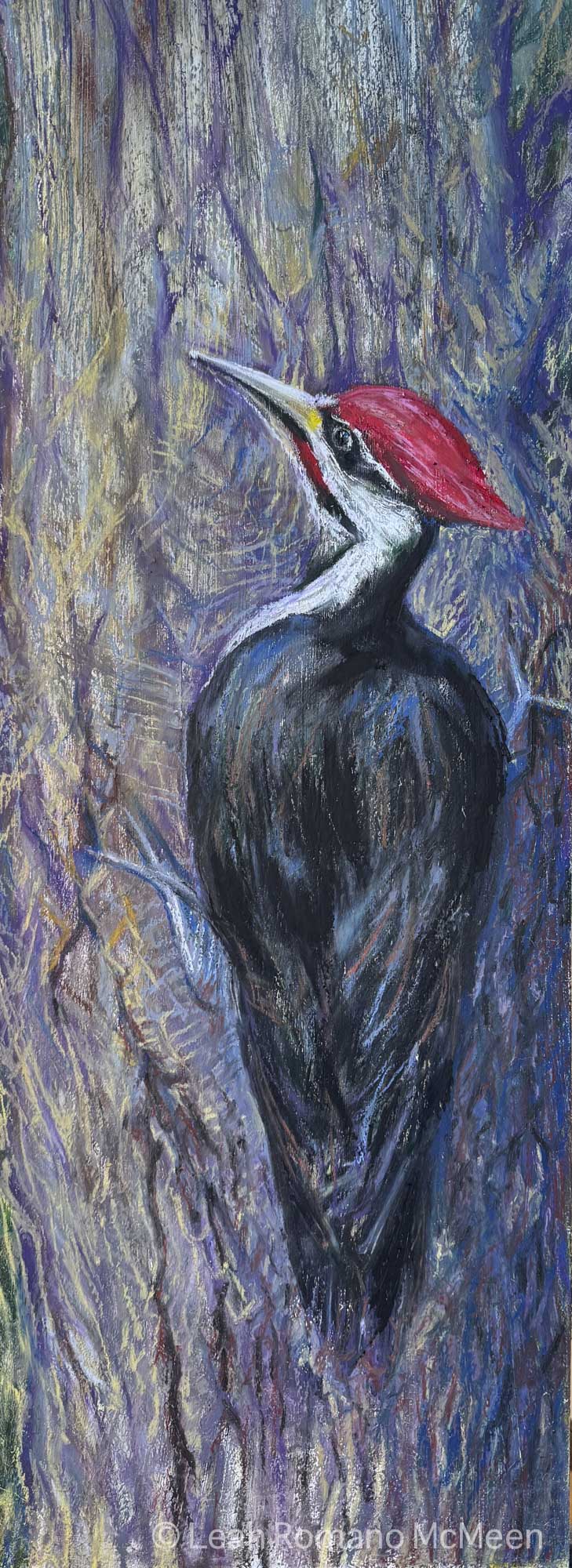Pileated Woodpecker Oil Pastel Painting