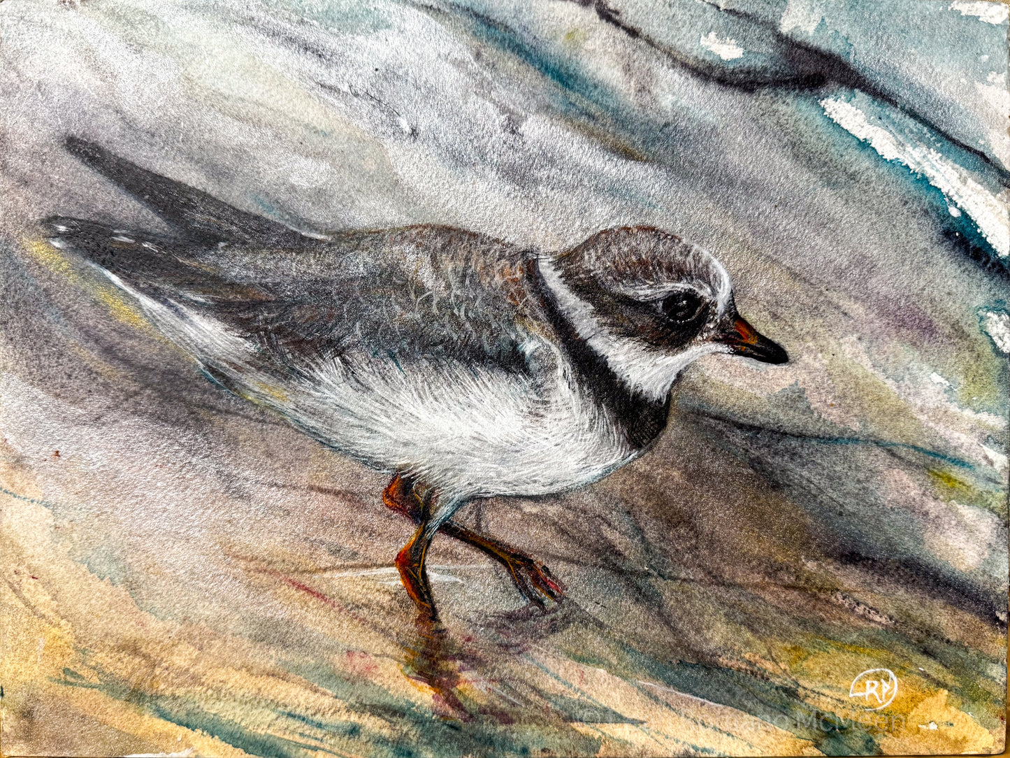 Piping Plover At The Shore Original Painting