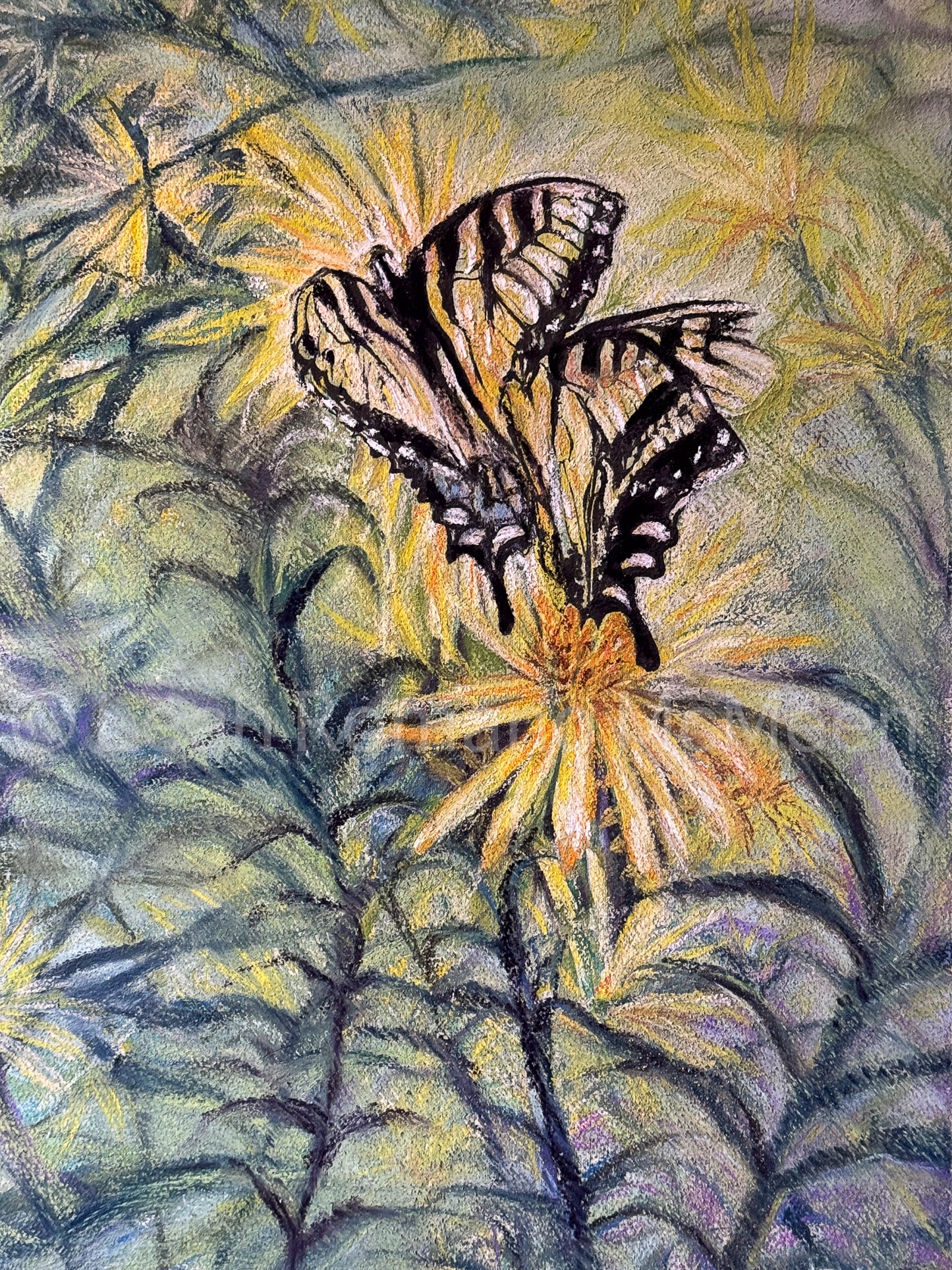 Shared Light - Butterflies on Cup Plant Flowers Soft Pastel Original