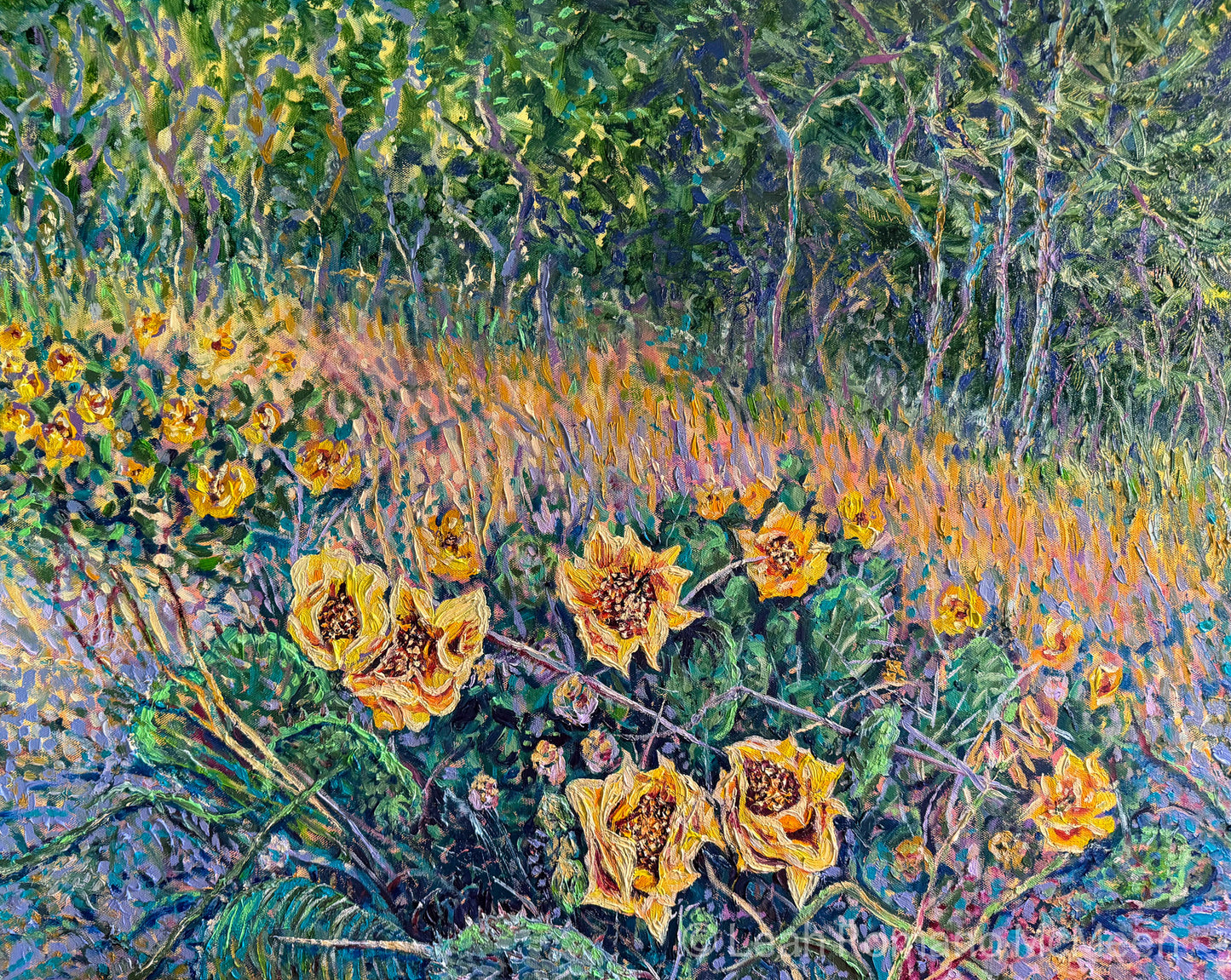 Where The Prickly Pears Bloom – Oil Painting