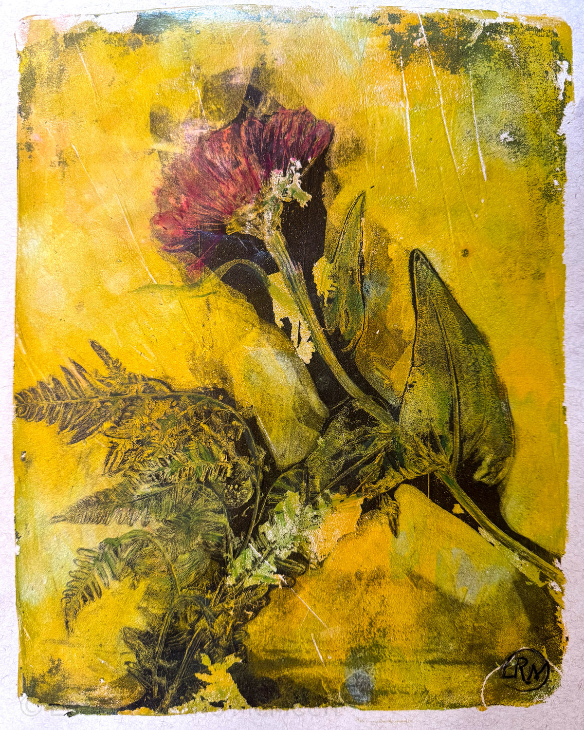 Zinnia And Fern Into Light • Giclée Print of Painted Monotype