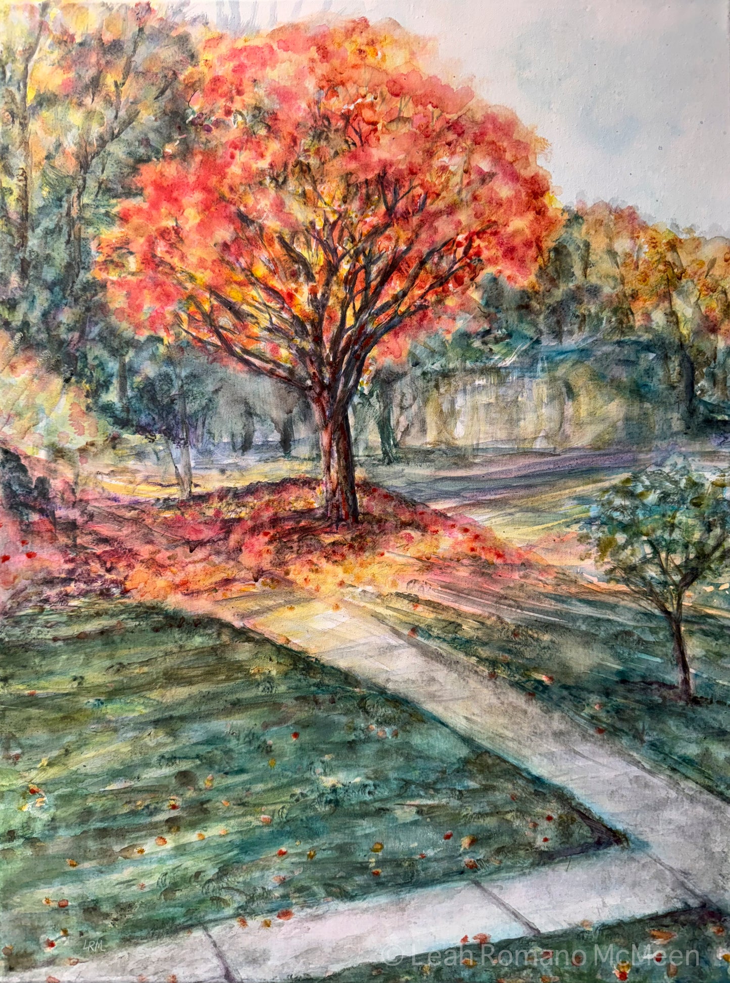 Autumn Light - Maple Tree In Neighborhood Watercolor Original Painting