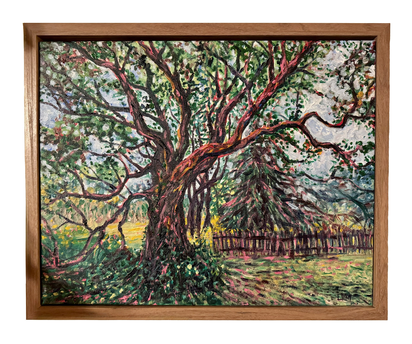 Red Oak Reaching - Oil Painting Original