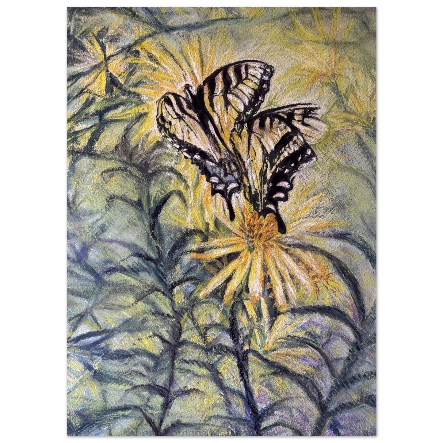 72ed2d81-017f-4f2c-a4a9-22c79ad13521