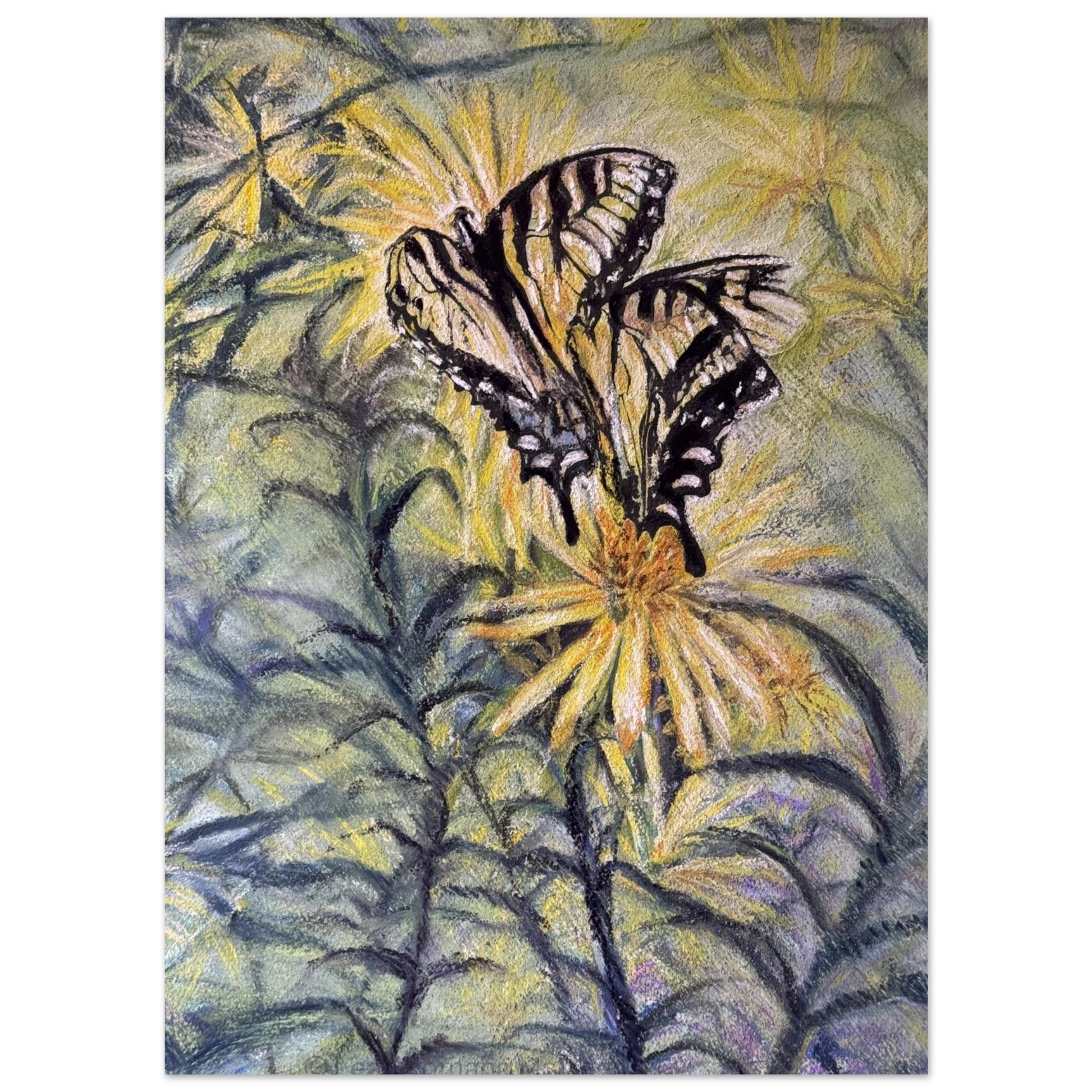 72ed2d81-017f-4f2c-a4a9-22c79ad13521