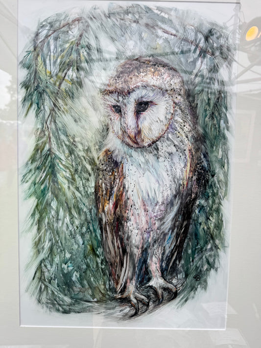 Barn Owl In The Evergreens