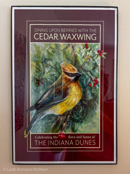 Cedar Waxwing Giclée Poster Print Framed