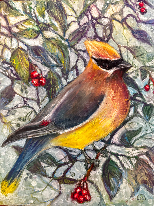 Cedar Waxwing Original Oil Pastel Painting