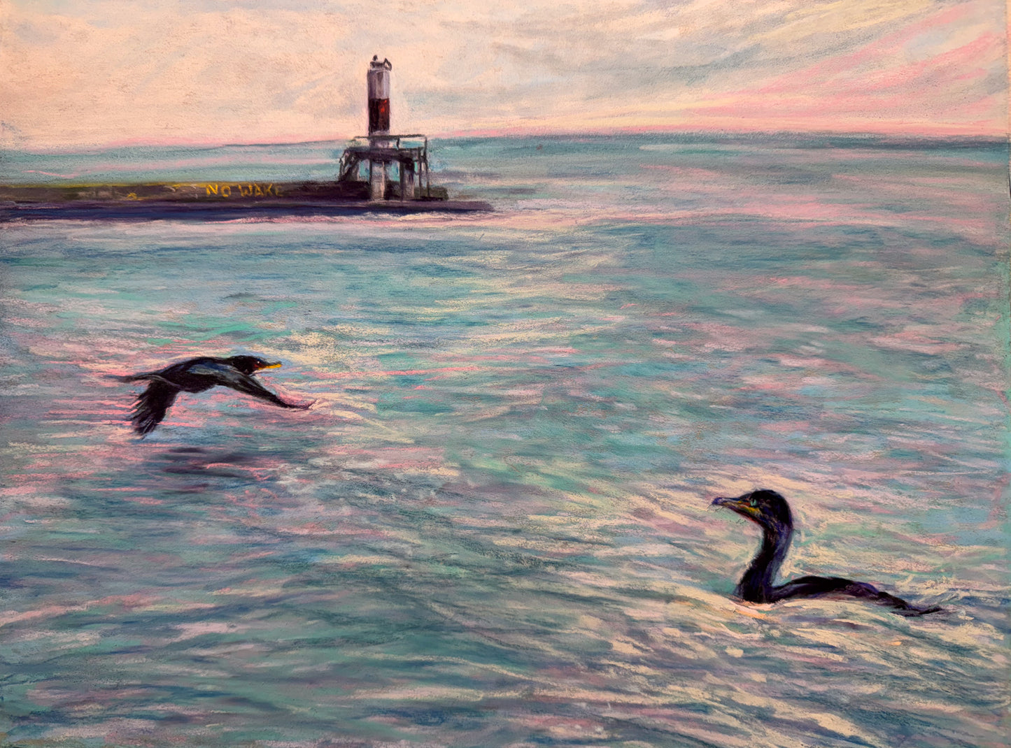 Double Crested Cormorants Chicago Harbor pastel painting