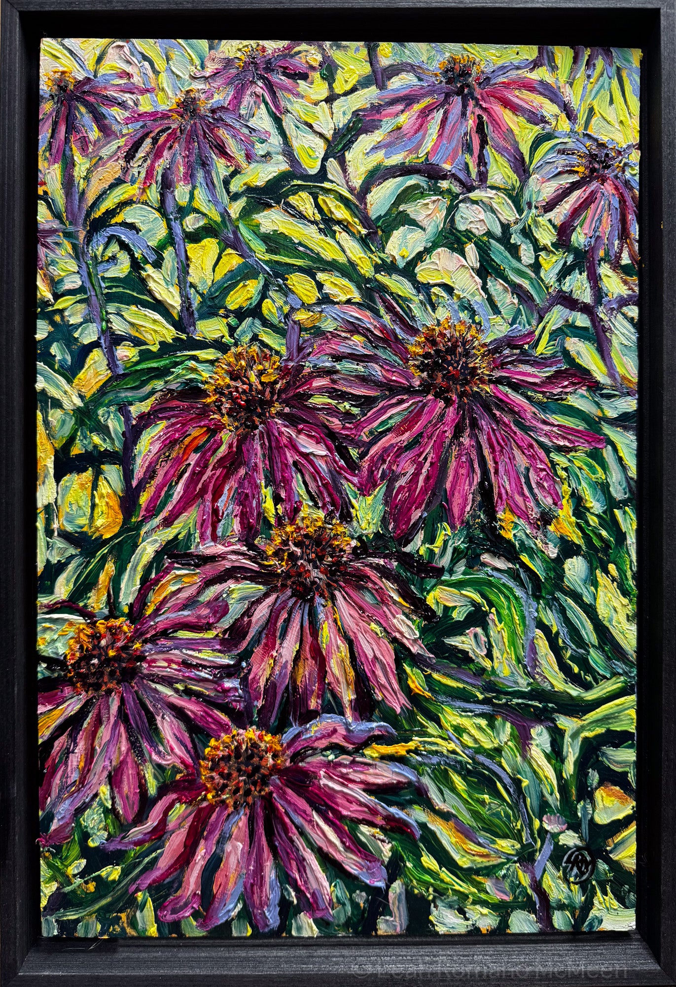 Purple Coneflower Echinacea – Oil Original