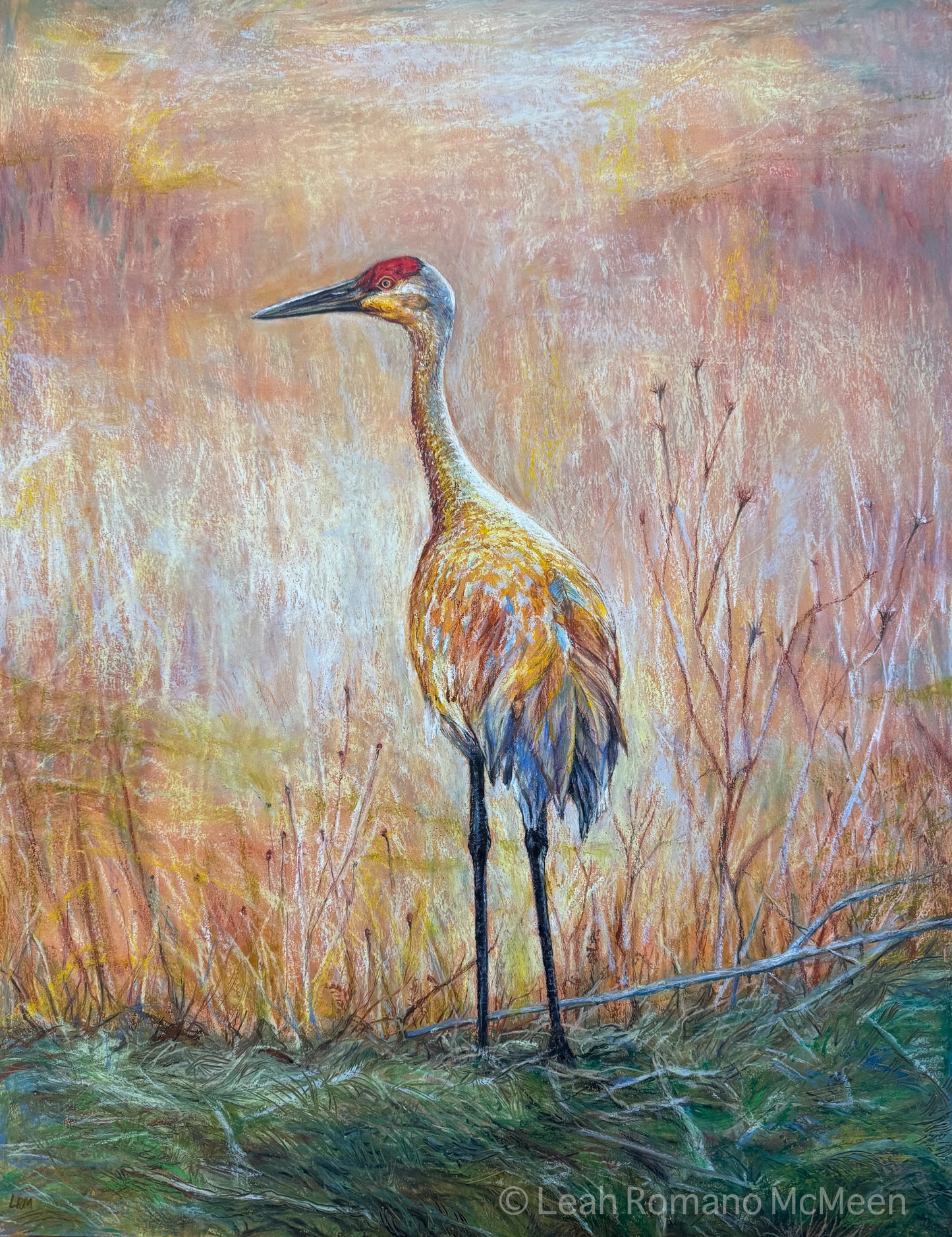 Golden Hour Crane - Giclée Print from Oil Pastel Original - Sandhill Crane Bird