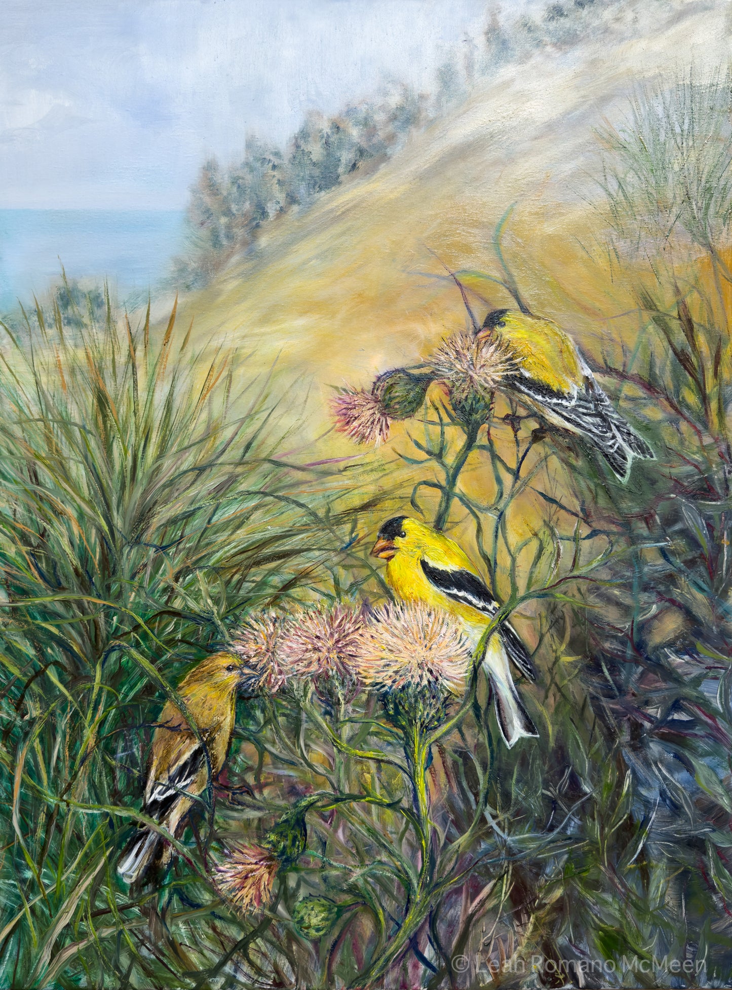 Goldfinches And The Pitchers Thistle Original Oil Painting