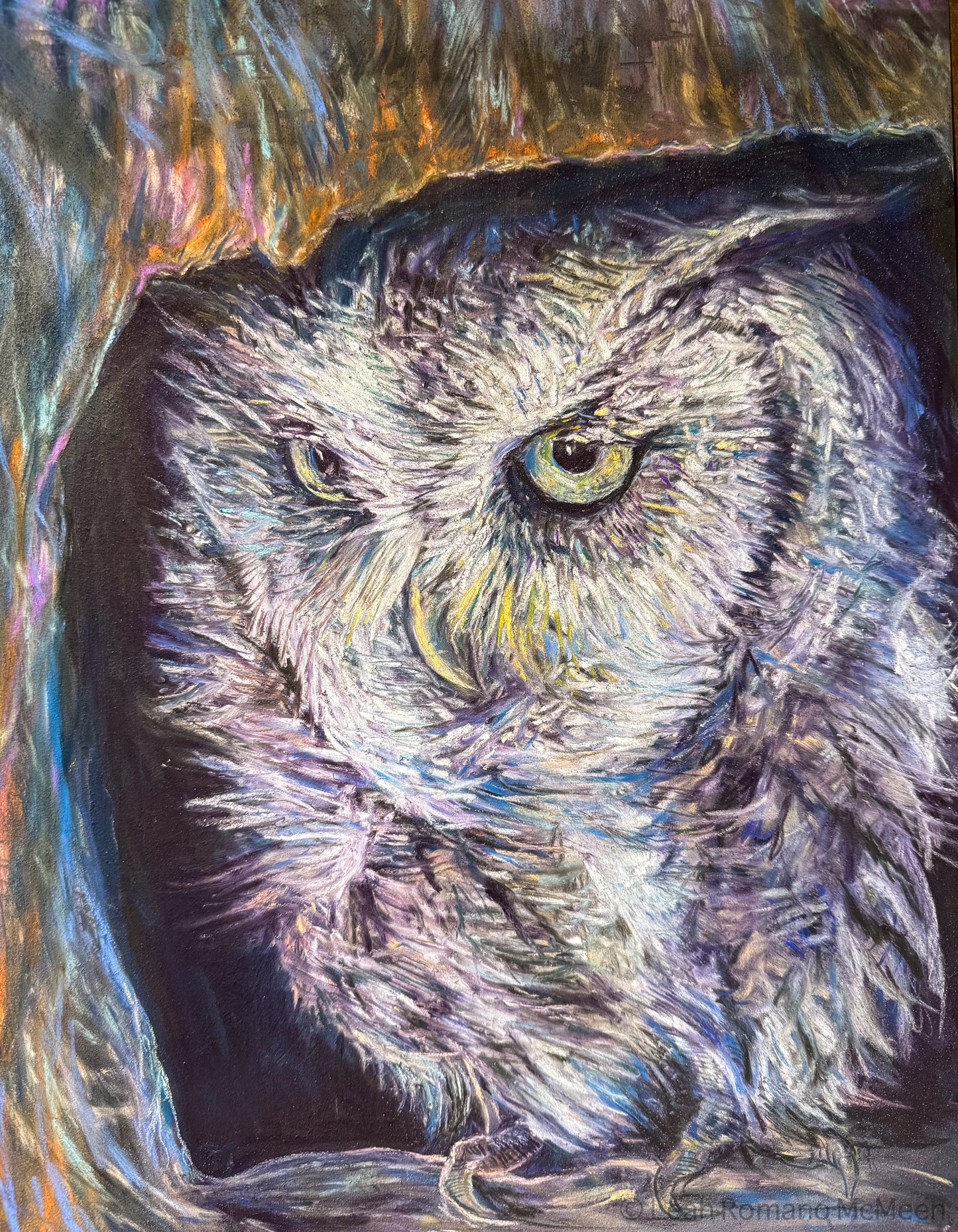 Hooo Goes There? Screech Owl Original Soft Pastel Bird Painting