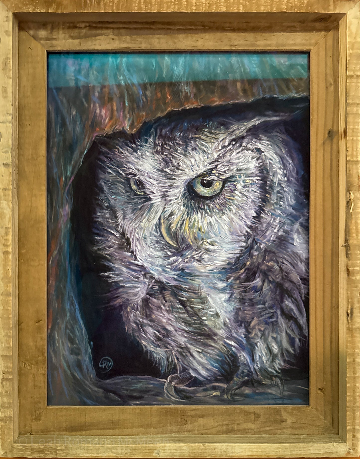 Hooo Goes There? Screech Owl Original Soft Pastel Bird Painting