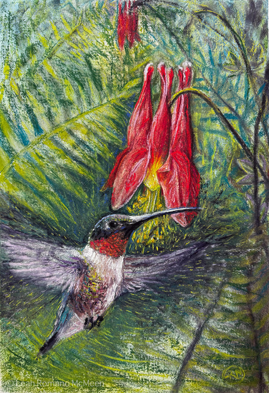 Hummingbird And Columbine In Ferns