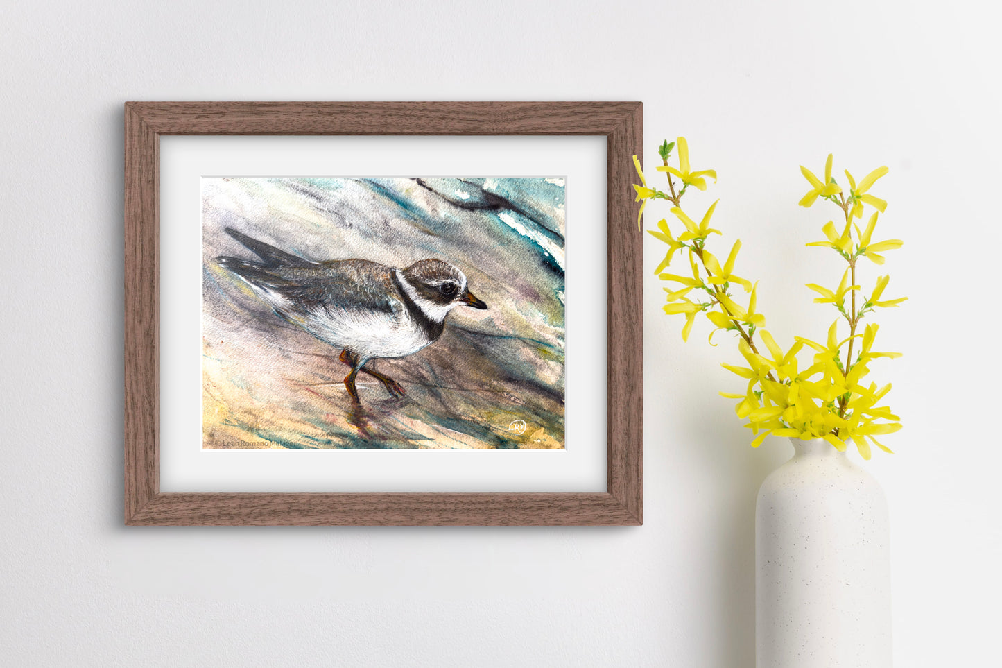 Piping Plover Bird Giclée Print
