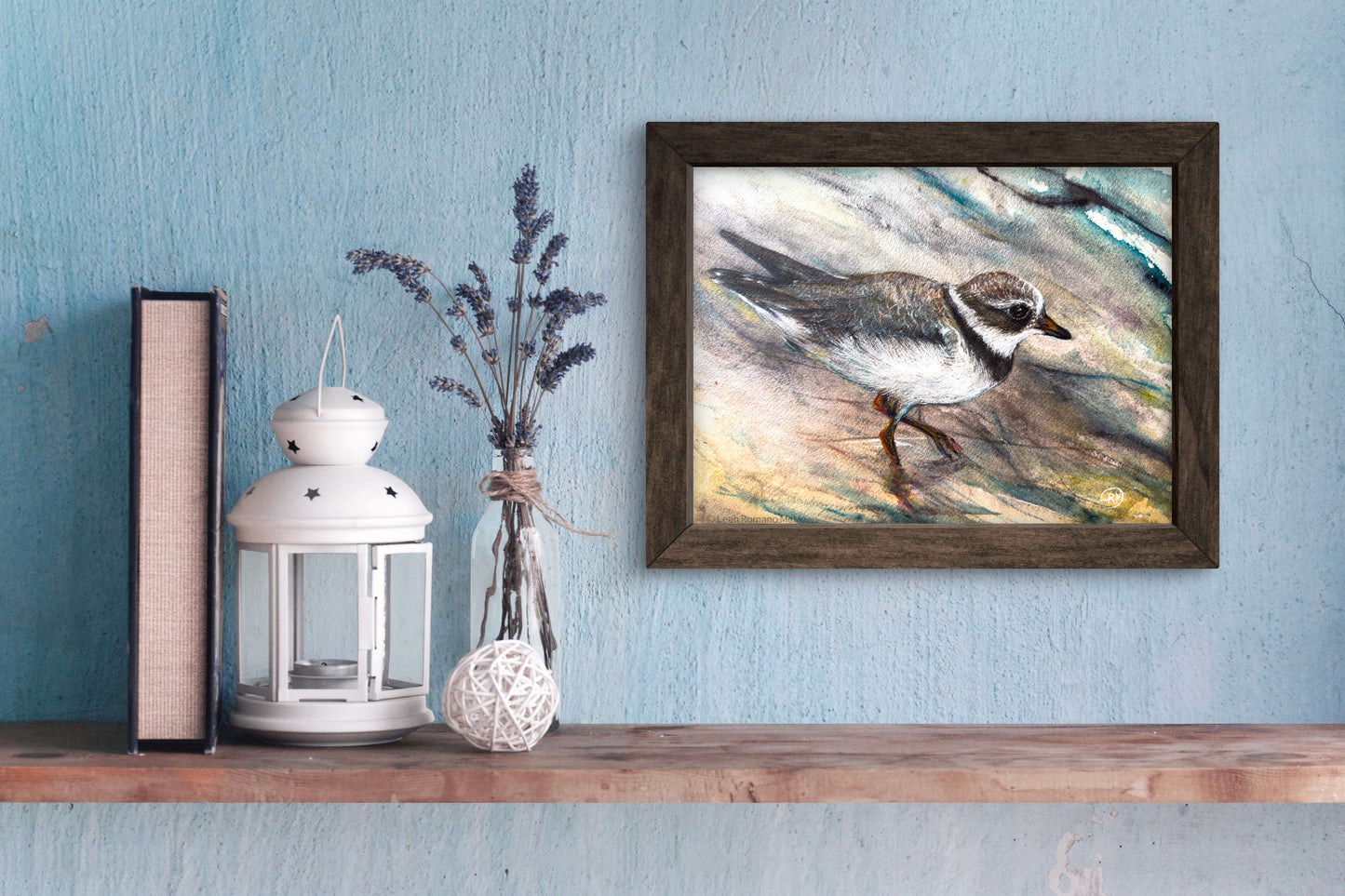 Piping Plover Bird Giclée Print