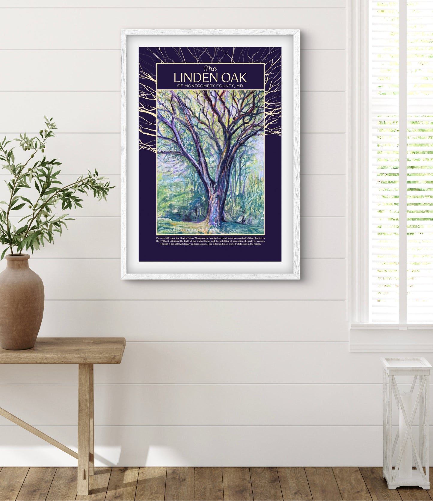 The Linden Oak Tree of Maryland Poster Print