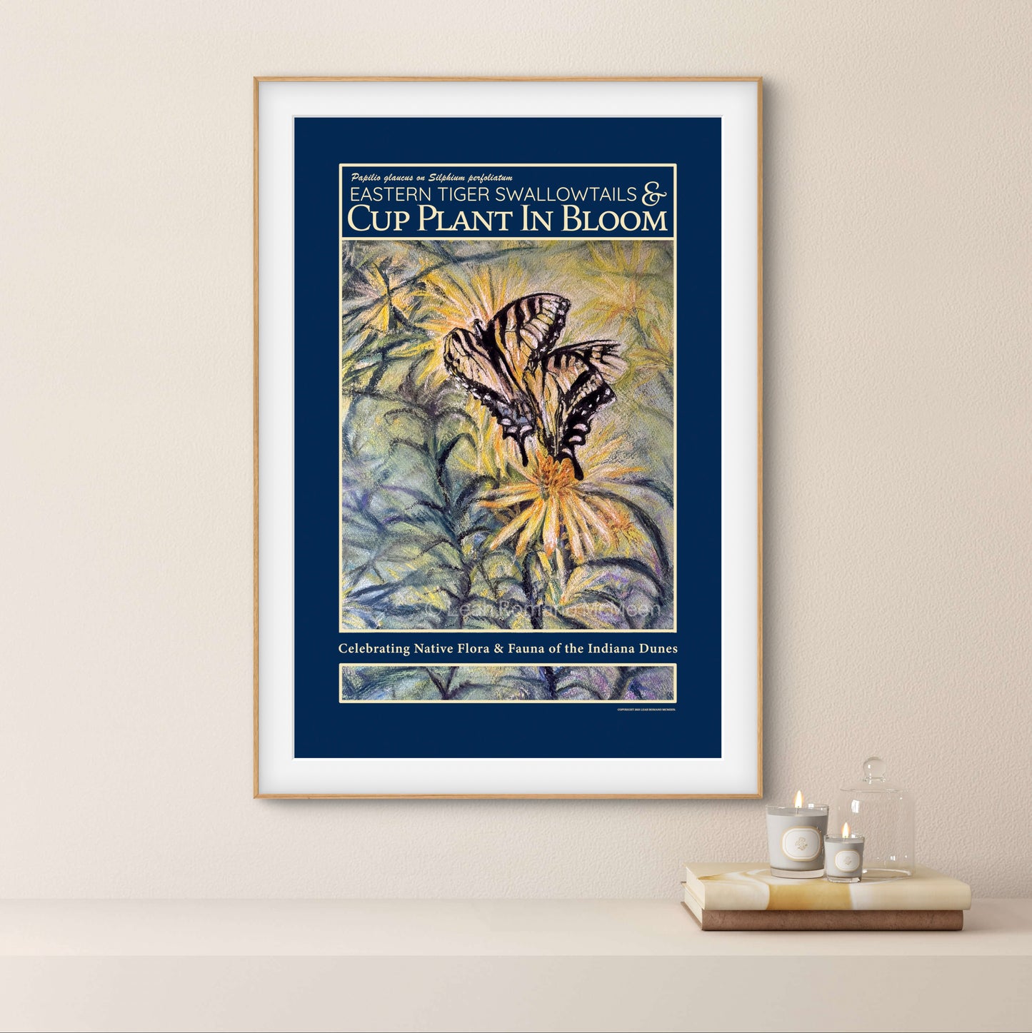 Swallowtails and Cup Plant in Bloom – Indiana Dunes Poster Print