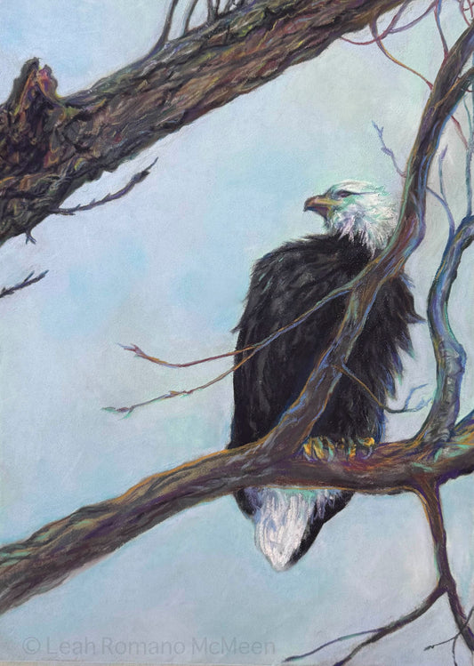 Keeping Watch – Bald Eagle Soft Pastel Giclée Bird Print