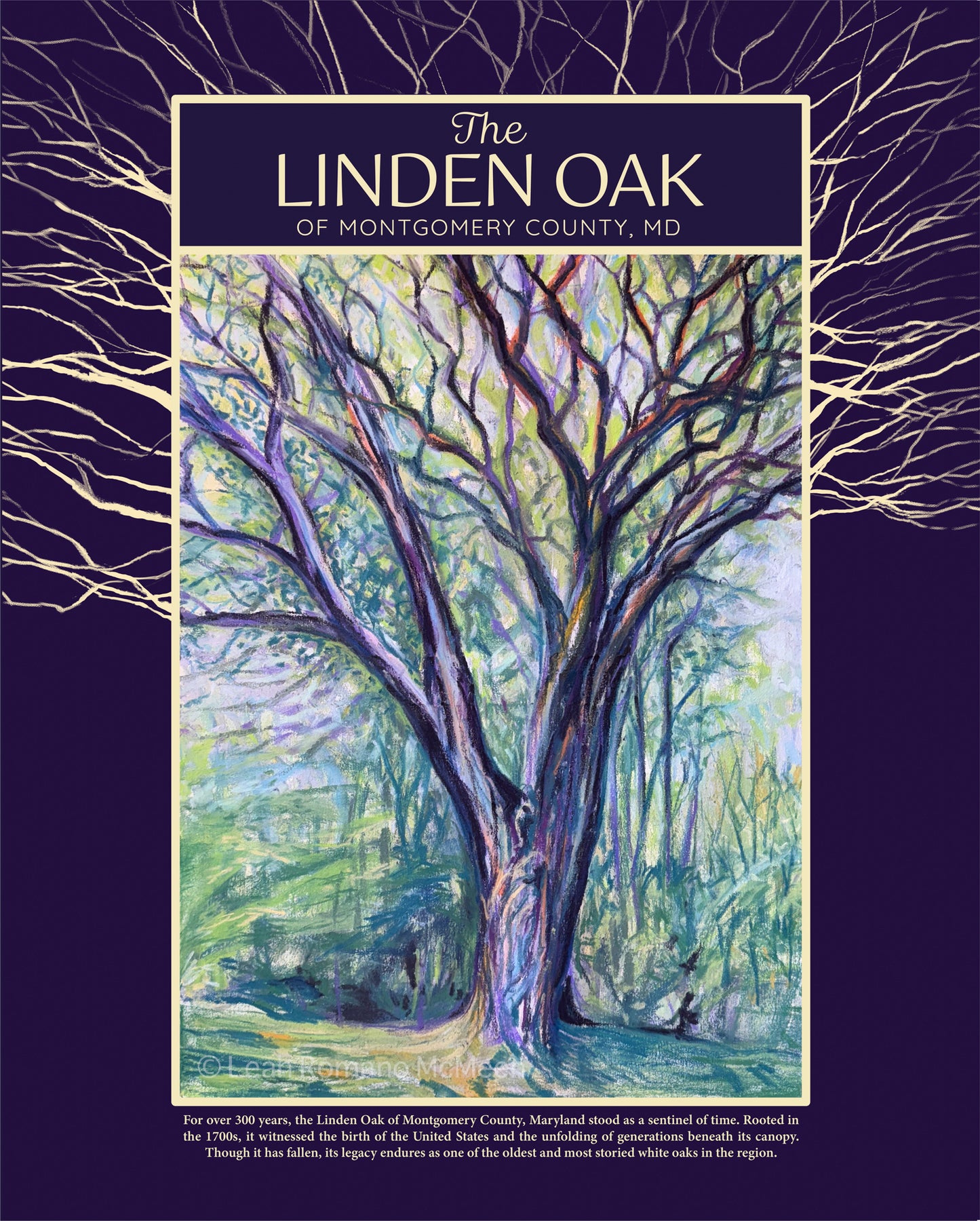 The Linden Oak Tree of Maryland Poster Print