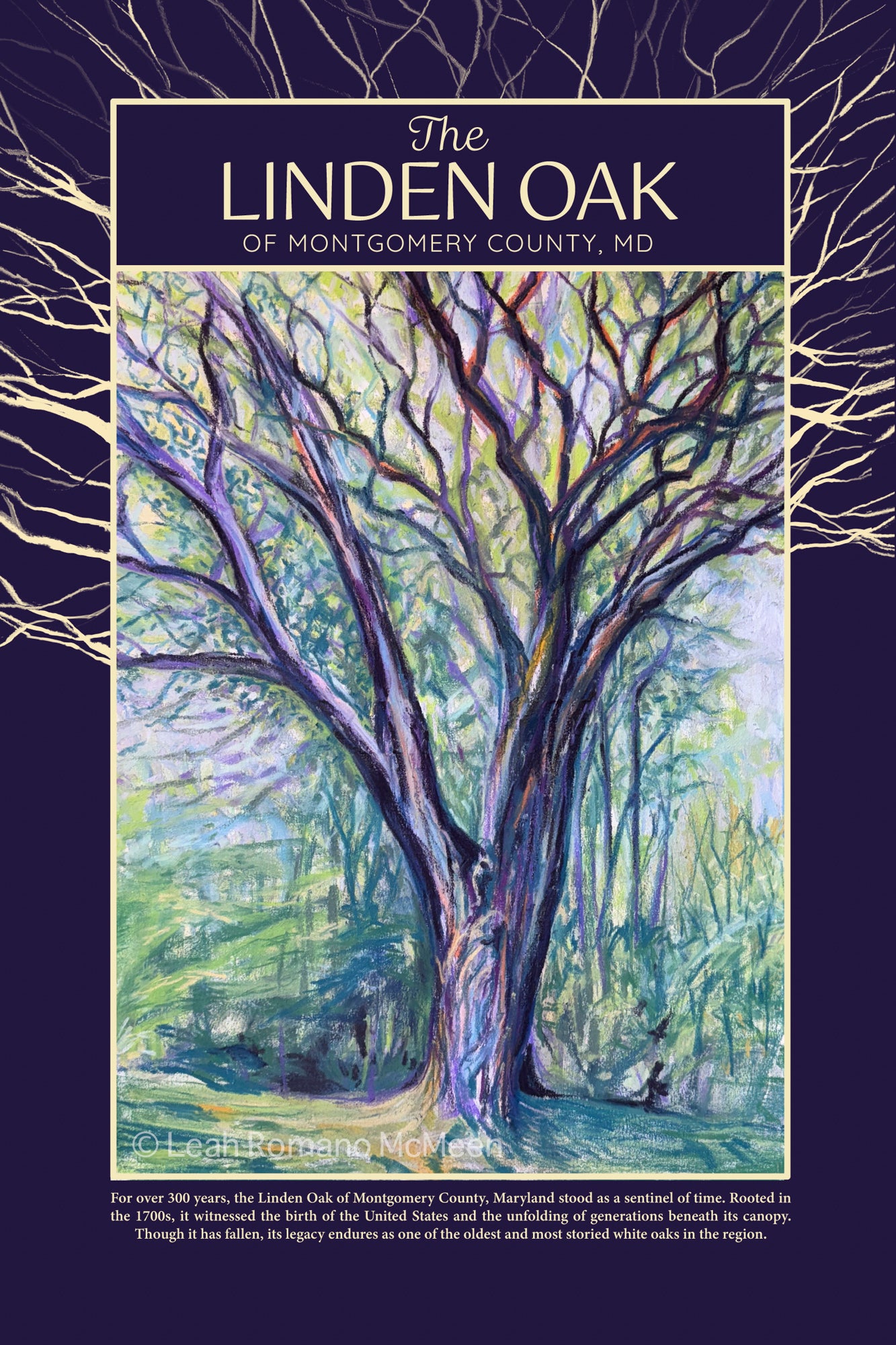 The Linden Oak Tree of Maryland Poster Print