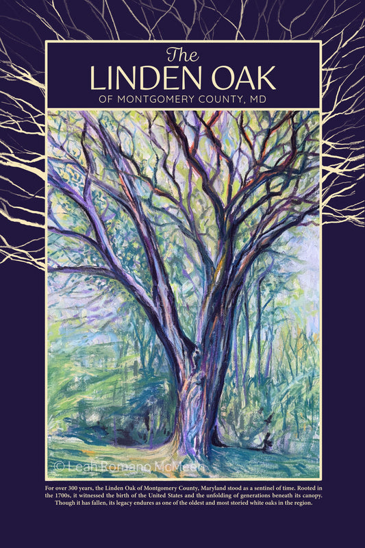 The Linden Oak Tree of Maryland Poster Print