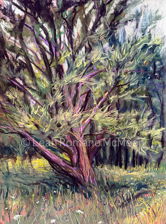 The Old Tree On A Summer Day - Original Pastel Painting