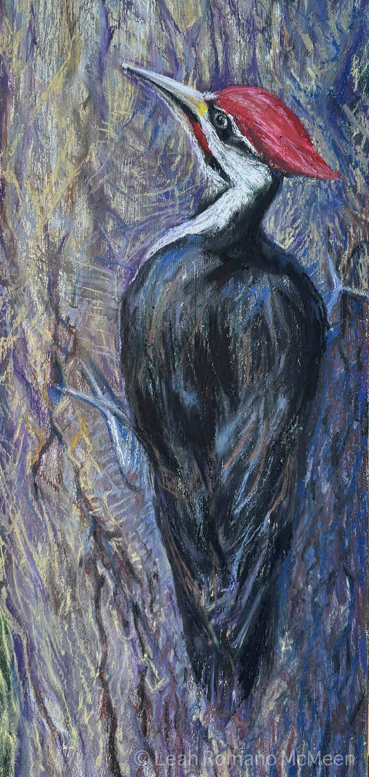 Pileated Woodpecker Bird – Giclée Print from Oil Pastel Original