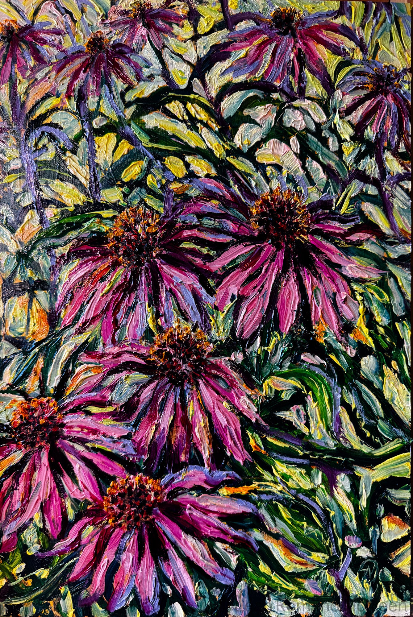 Purple Coneflower Echinacea – Oil Original