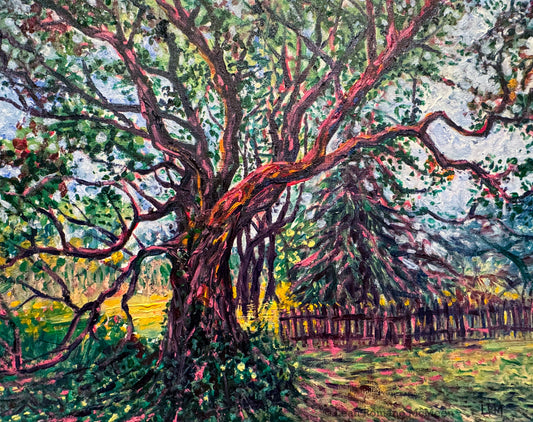 Red Oak Reaching - Oil Painting Original