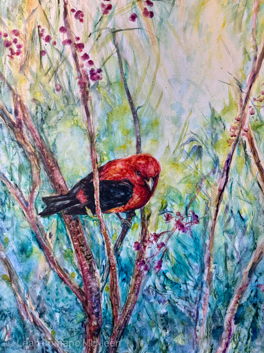 The Scarlet Messenger - Scarlet Tanager Bird Giclée Print From Watercolor Original