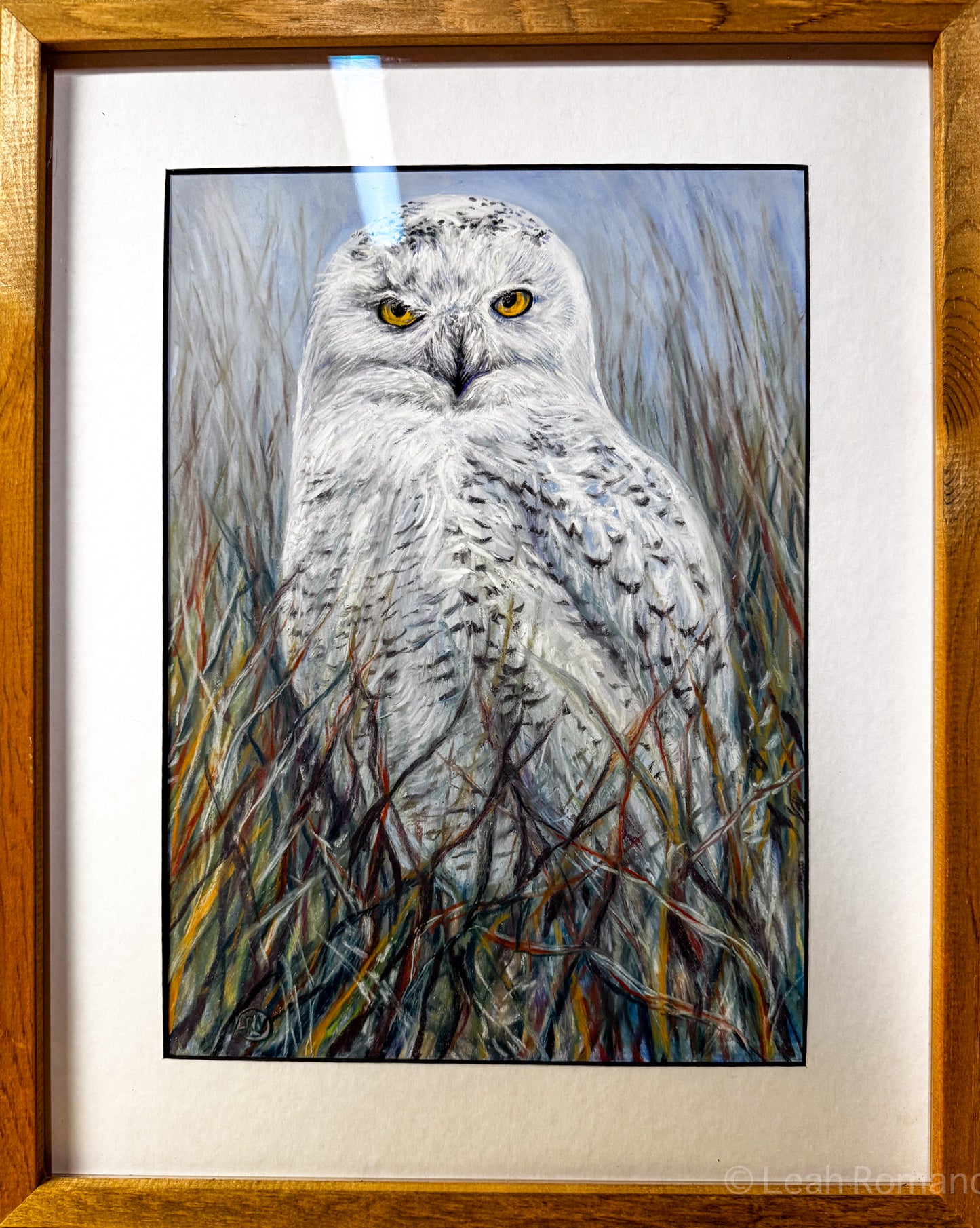The Snowy Owl - Soft Pastel Original