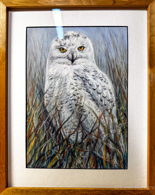 The Snowy Owl - Soft Pastel Original