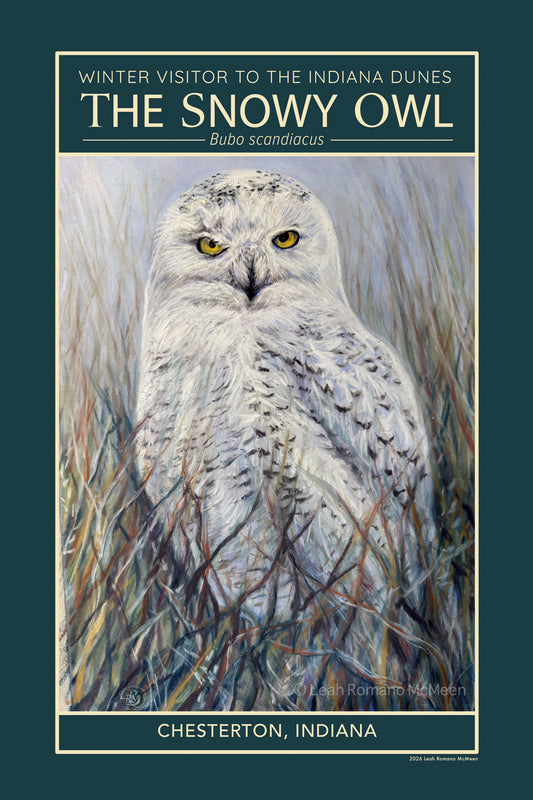 Snowy Owl Winter Visitor WPA Poster And Art Print