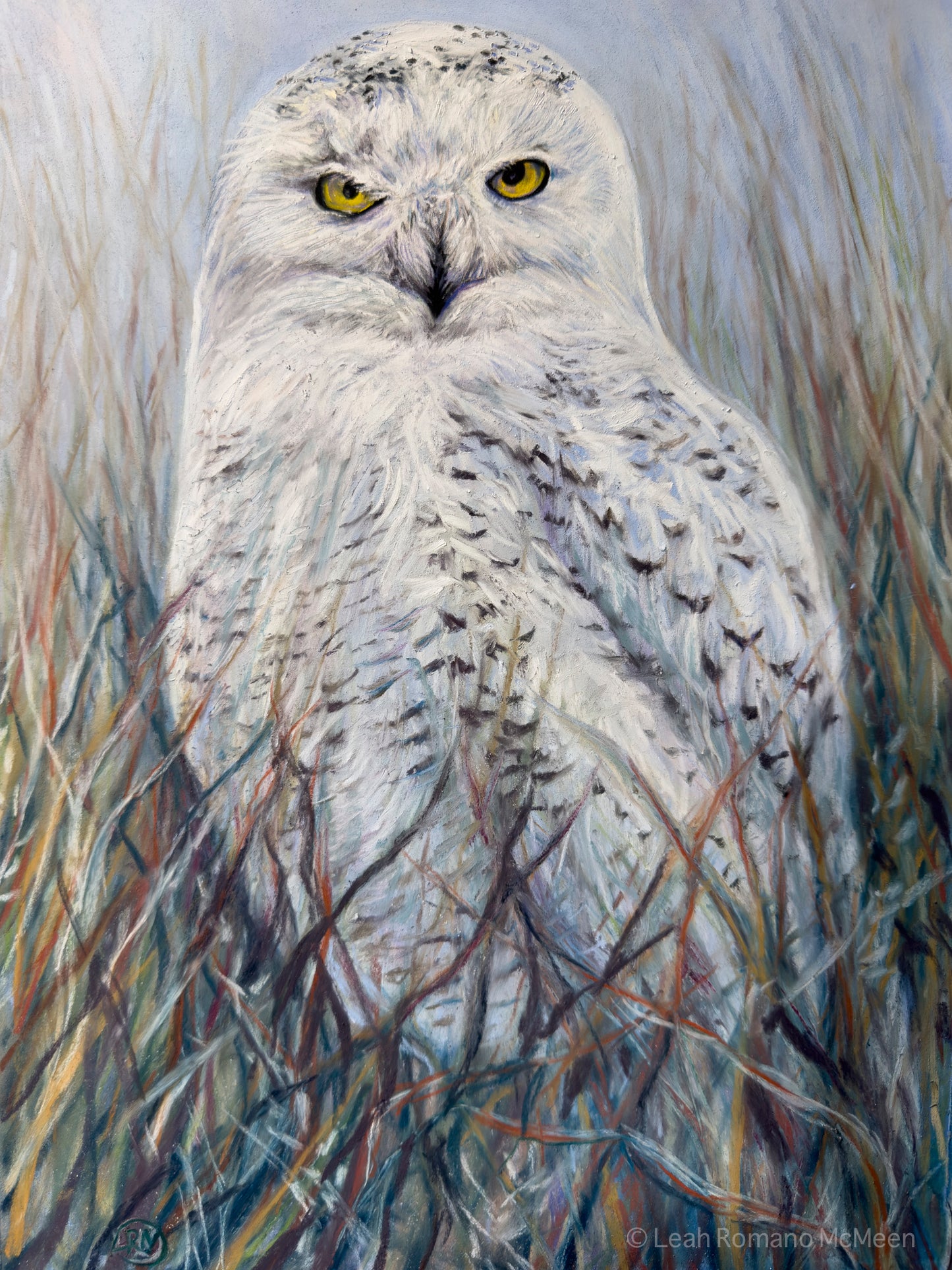 Snowy Owl Winter Visitor WPA Poster And Art Print