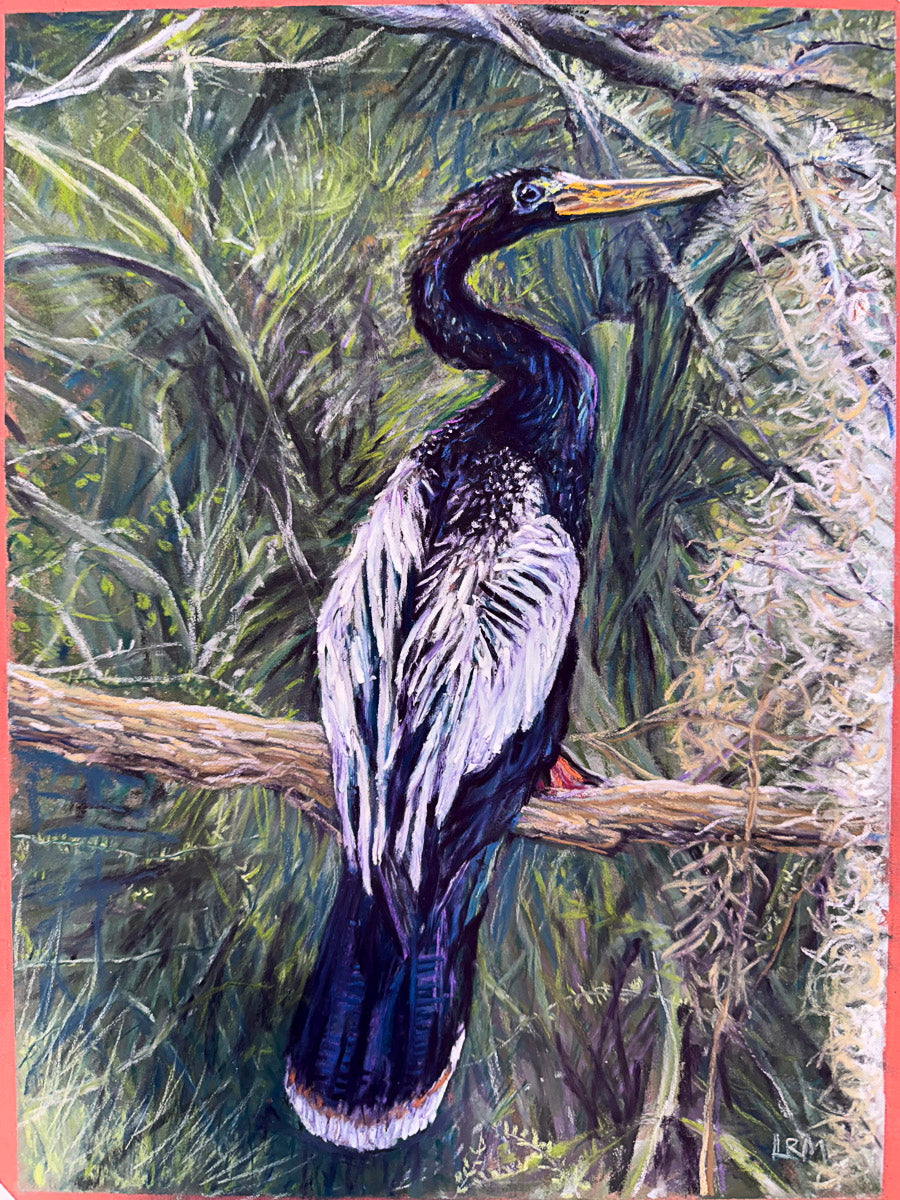 The Luminous Anhinga Bird Giclée Print From Pastel Original