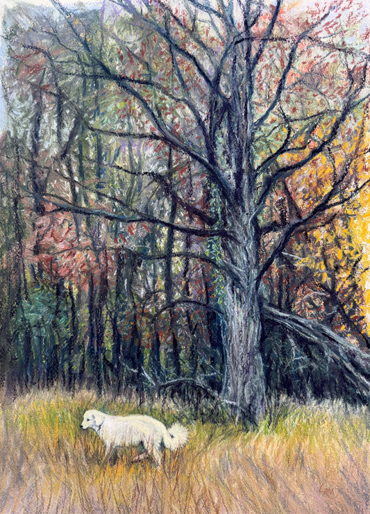 A Walk In the Old Pasture – White Livestock Guardian Dog Giclée Print
