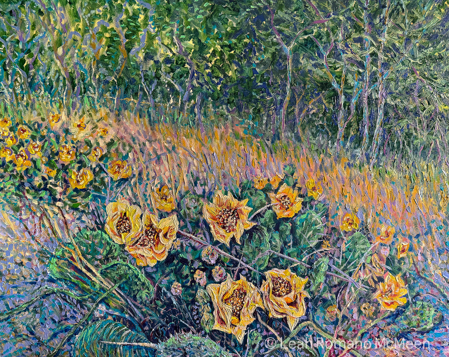 Where The Prickly Pears Bloom – Giclée Paper or Stretched Canvas Print from Oil Original