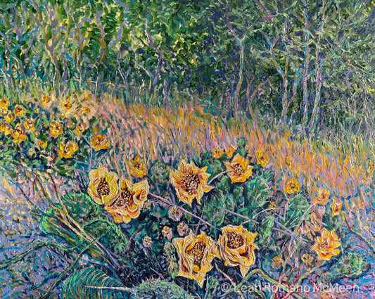 Where The Prickly Pears Bloom – Giclée Paper or Stretched Canvas Print from Oil Original