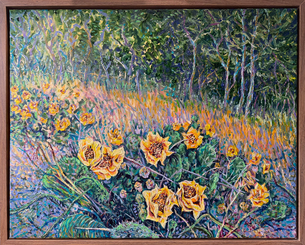 Where The Prickly Pears Bloom – Oil Painting