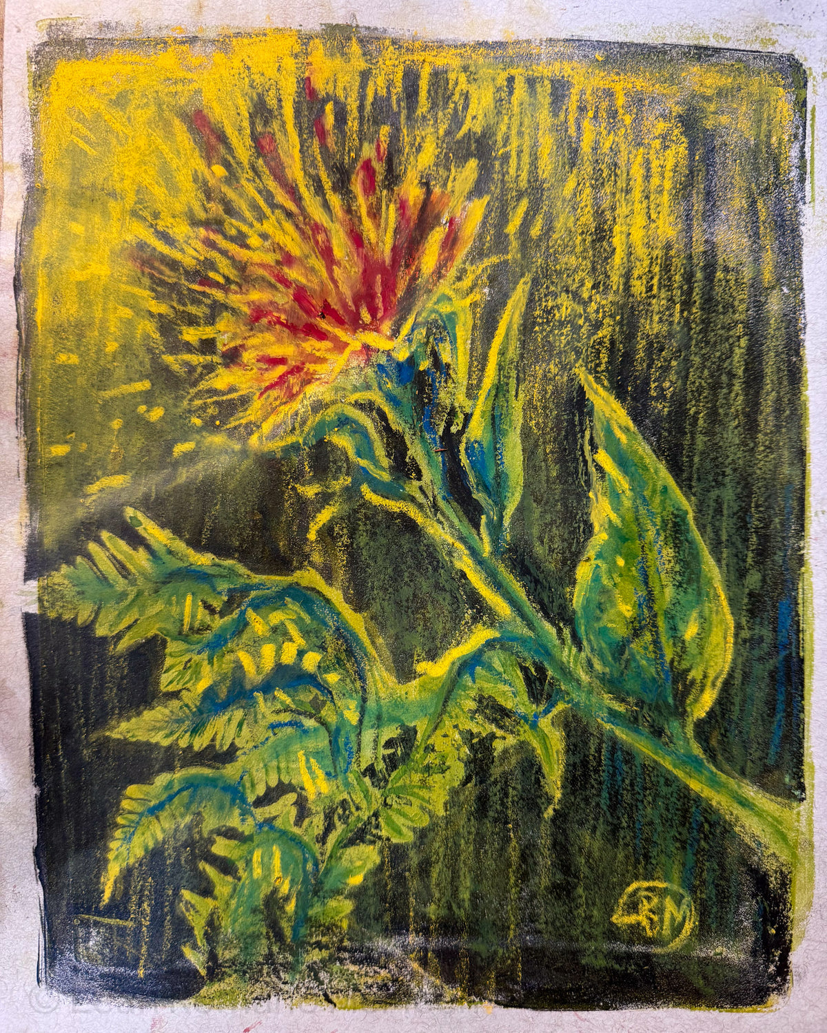 Zinnia And Fern Out Of Dark • Giclée Print of Painted Monotype
