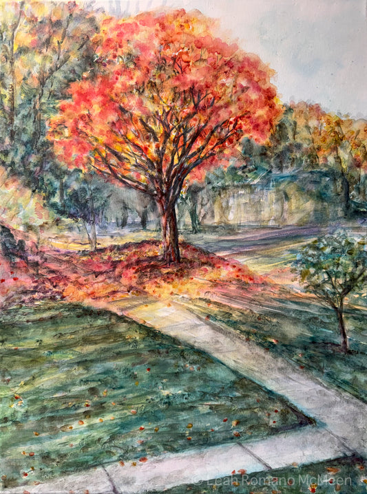 Autumn Light - Maple Tree In Neighborhood – Giclée Print from Watercolor Original