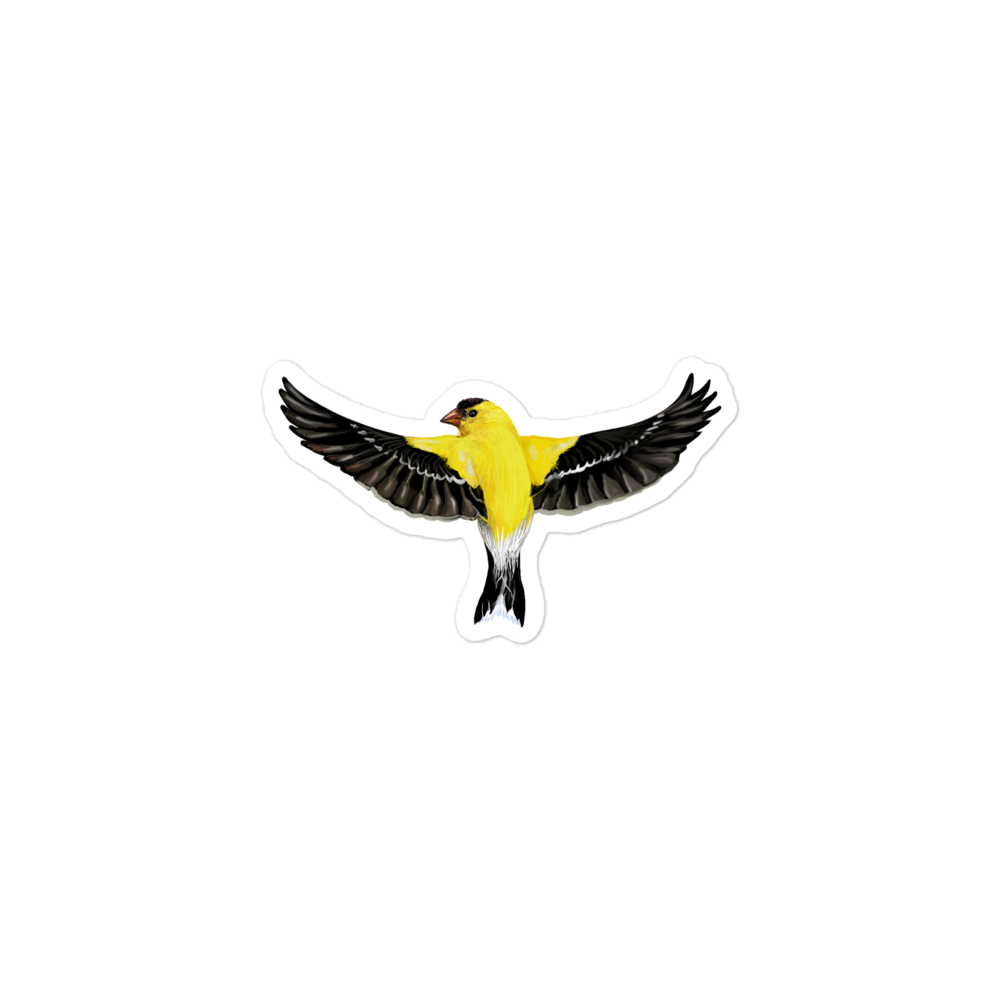 American Goldfinch in Flight – Kiss-Cut Vinyl Sticker – Songbird Illustration