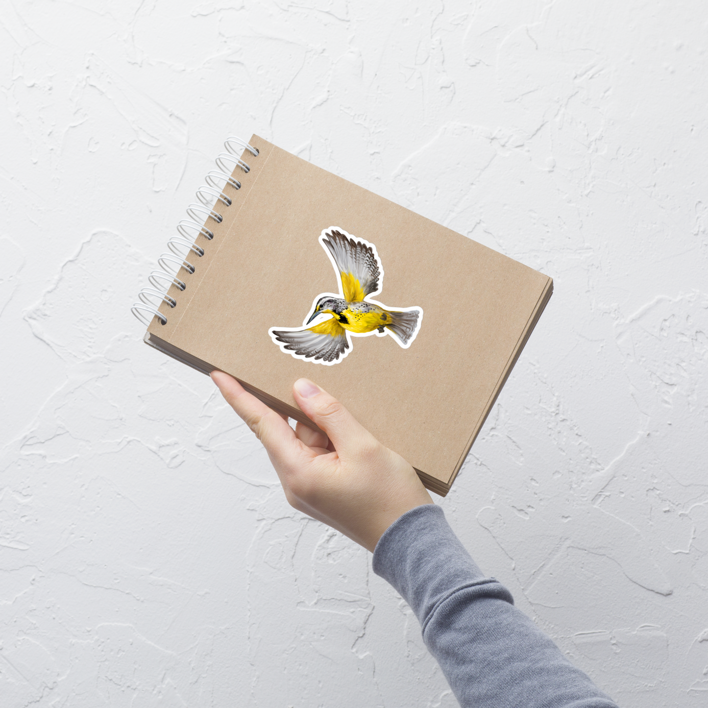 Western Meadowlark Vinyl Sticker – Bird Lover Gift – Prairie Songbird Illustration
