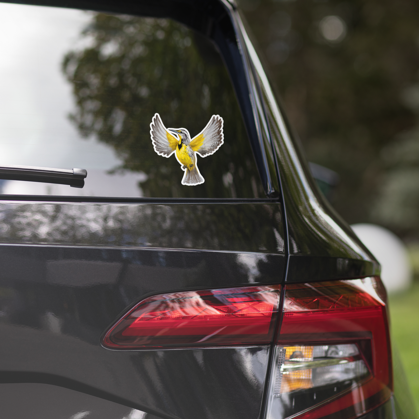 Western Meadowlark Vinyl Sticker – Bird Lover Gift – Prairie Songbird Illustration
